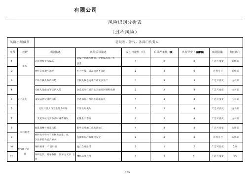 风险识别分析表