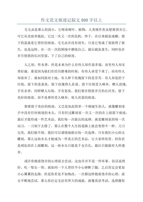 作文范文痕迹记叙文800字以上