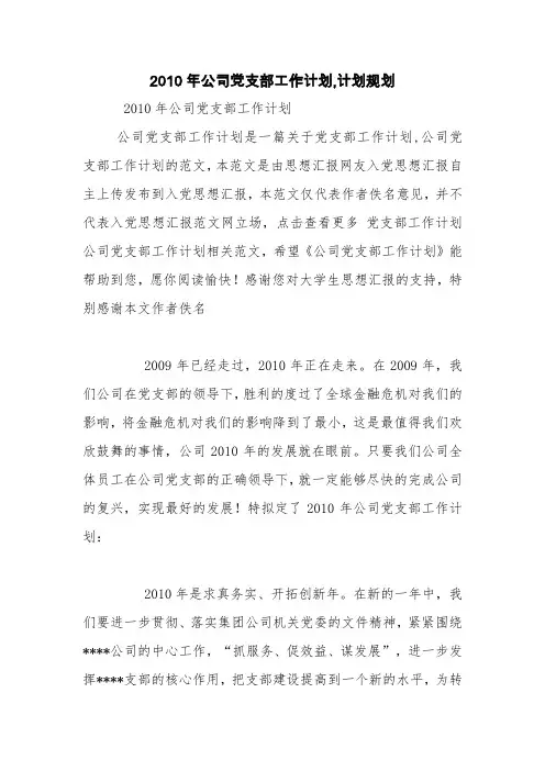 2010年公司党支部工作计划,计划规划【精品范文】