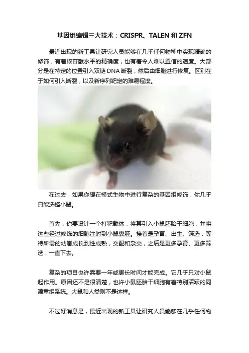 基因组编辑三大技术：CRISPR、TALEN和ZFN