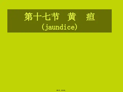 6.黄疸-诊断学(共32张)