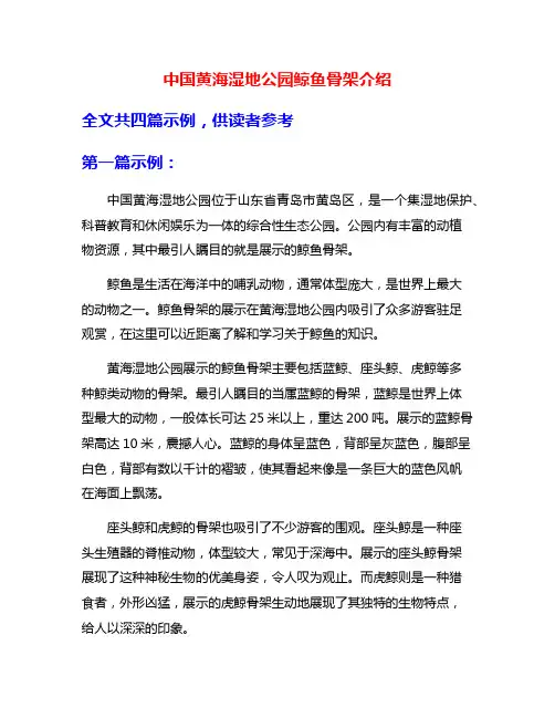 中国黄海湿地公园鲸鱼骨架介绍