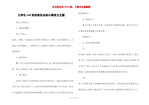大学生cad实训报告总结心得范文五篇