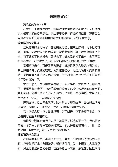 流浪猫的作文13篇