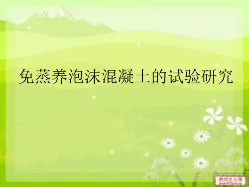 免蒸养泡沫混凝土