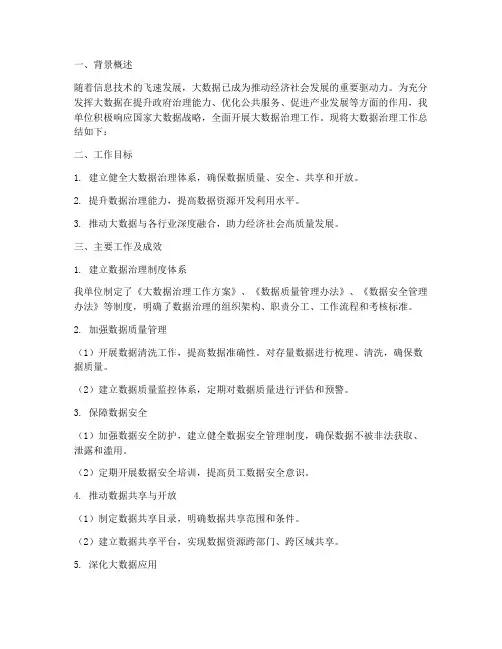 大数据治理工作总结报告