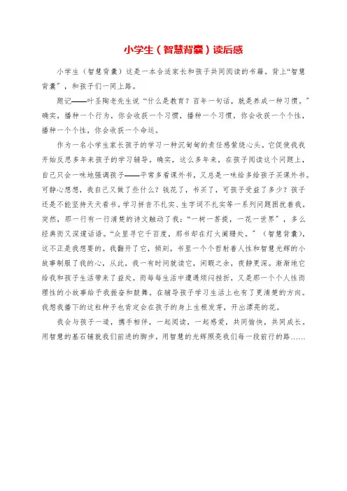 2023年小学生《智慧背囊》读后感