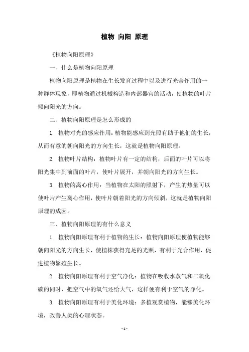 植物 向阳 原理