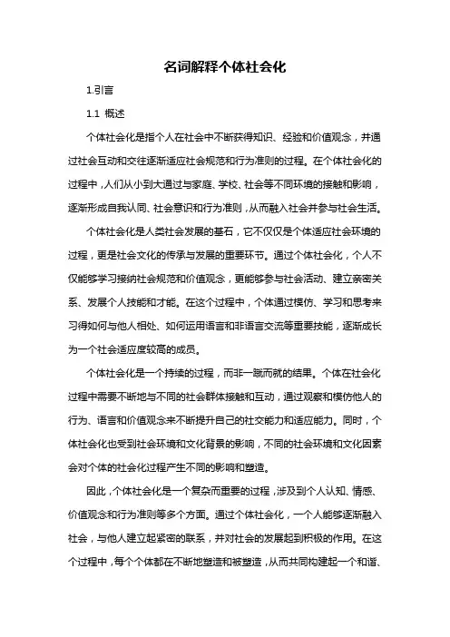 名词解释个体社会化