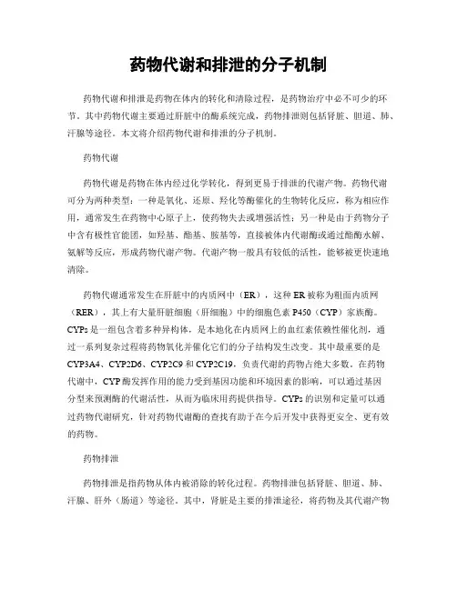 药物代谢和排泄的分子机制