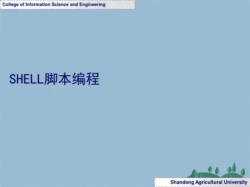shell脚本教程详细讲解(共80张PPT)