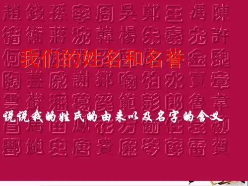 我们的姓名和名誉PPT课件 苏教版(15张)