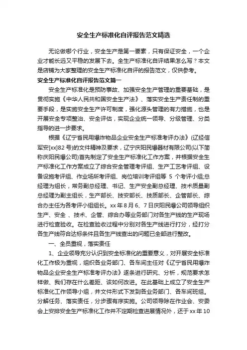 安全生产标准化自评报告范文精选