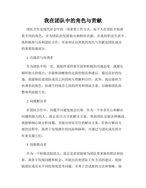 我在团队中的角色与贡献