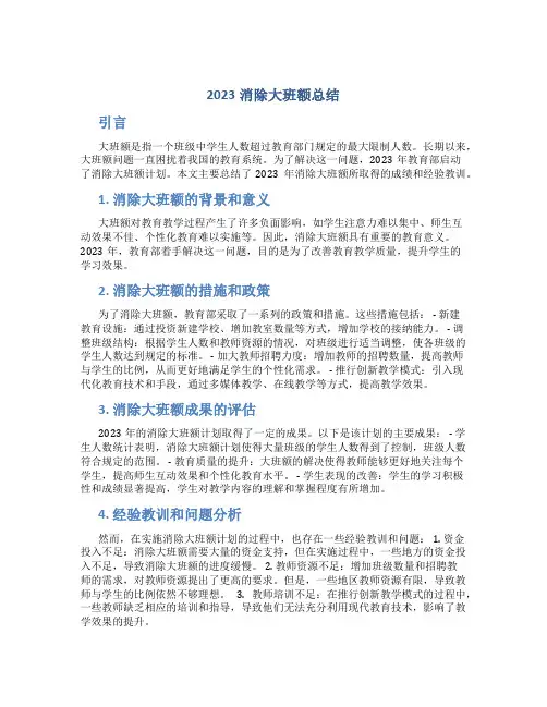 2023消除大班额总结