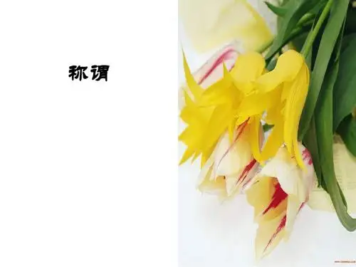 称谓表达口译
