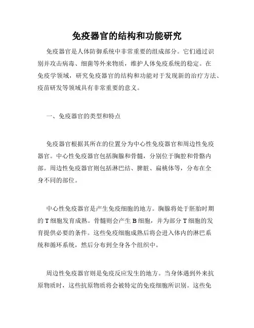 免疫器官的结构和功能研究