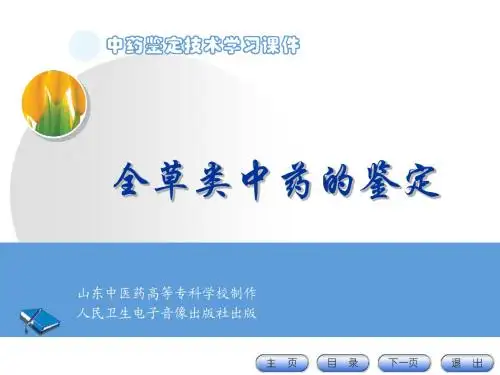 11 全草类中药的鉴定