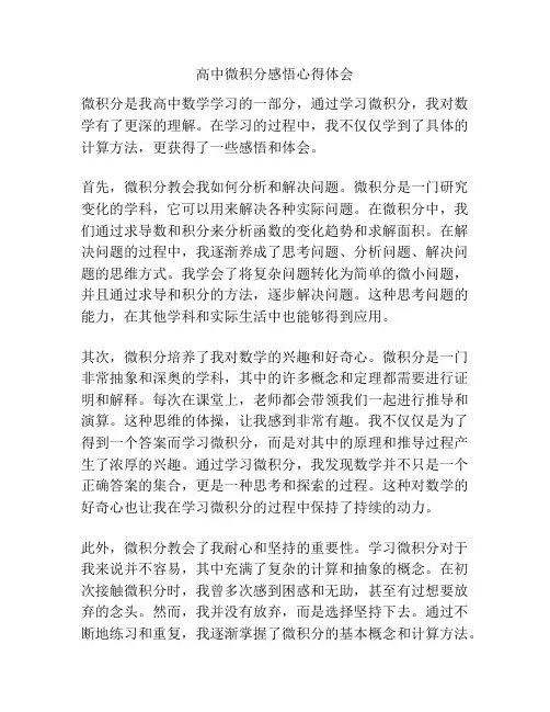 高中微积分感悟心得体会