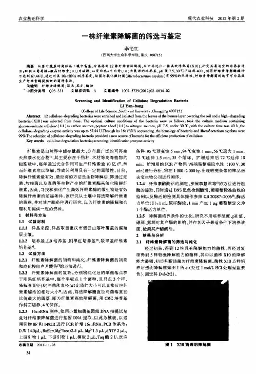一株纤维素降解菌的筛选与鉴定