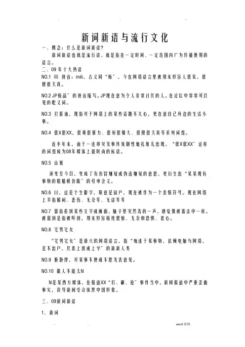 新词新语及流行文化