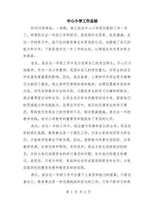 中心小学工作总结