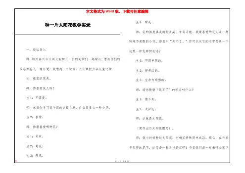 种一片太阳花教学实录