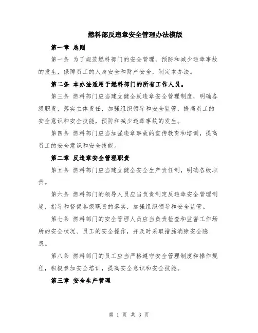 燃料部反违章安全管理办法模版