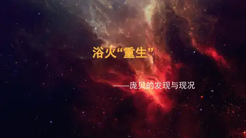 庞贝的发现