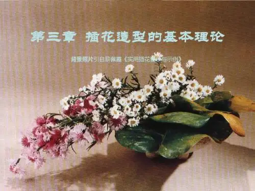 第三章插花造型的基本理论PPT