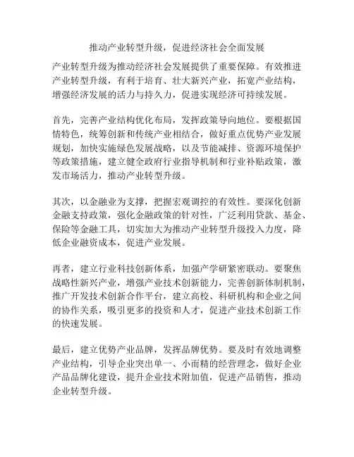 推动产业转型升级,促进经济社会全面发展