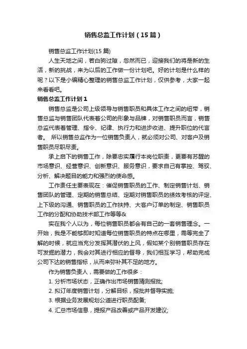 销售总监工作计划（15篇）
