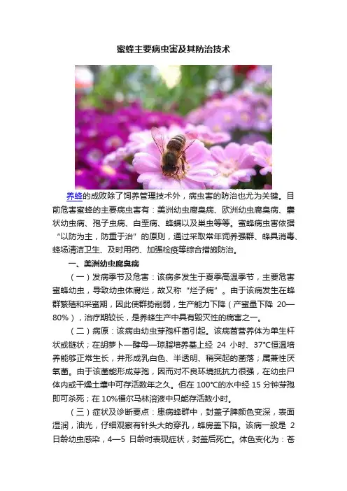 蜜蜂主要病虫害及其防治技术