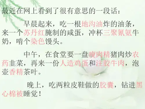 食品污染和食品安全ppt课件.ppt
