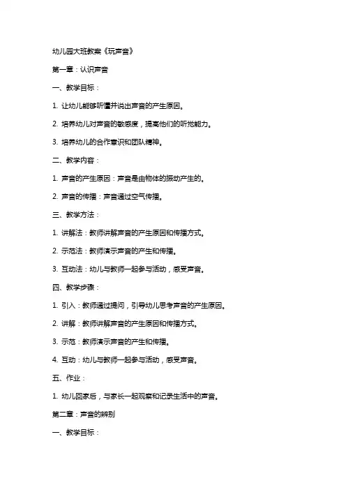 幼儿园大班教案《玩声音》