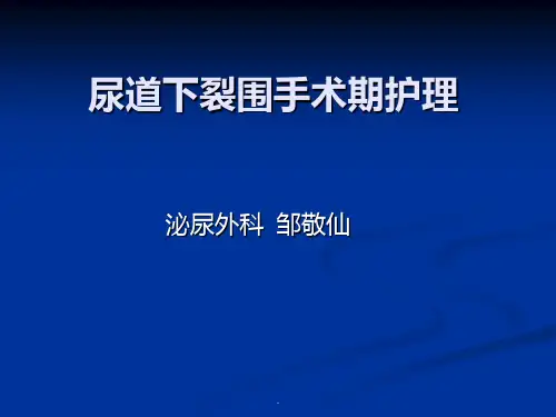 尿道下裂护理PPT课件