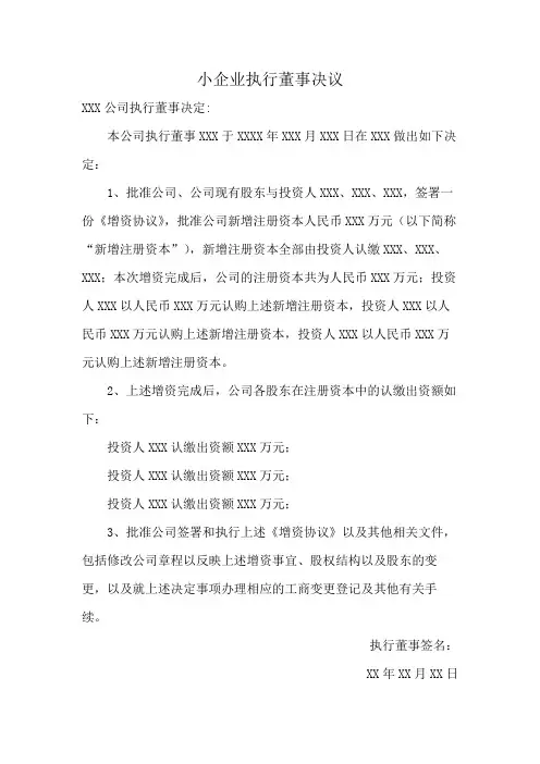 小企业执行董事决议