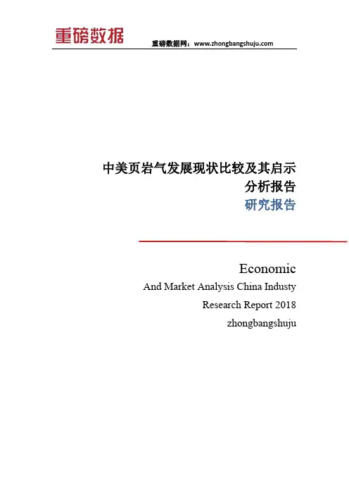 中美页岩气发展现状比较及其启示分析
