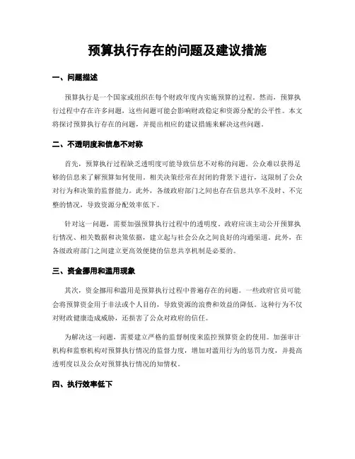 预算执行存在的问题及建议措施