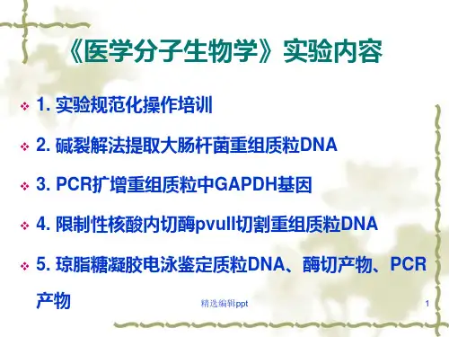 医学分子生物学实验ppt课件