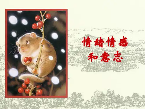 情绪情感和意志