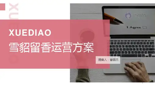 京东店铺运营方案-课件PPT