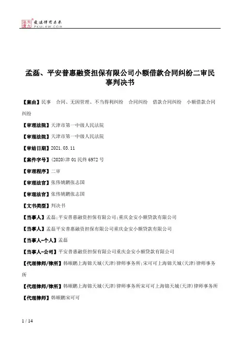 孟磊、平安普惠融资担保有限公司小额借款合同纠纷二审民事判决书