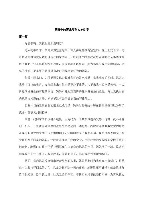 黑暗中的那盏灯作文600字