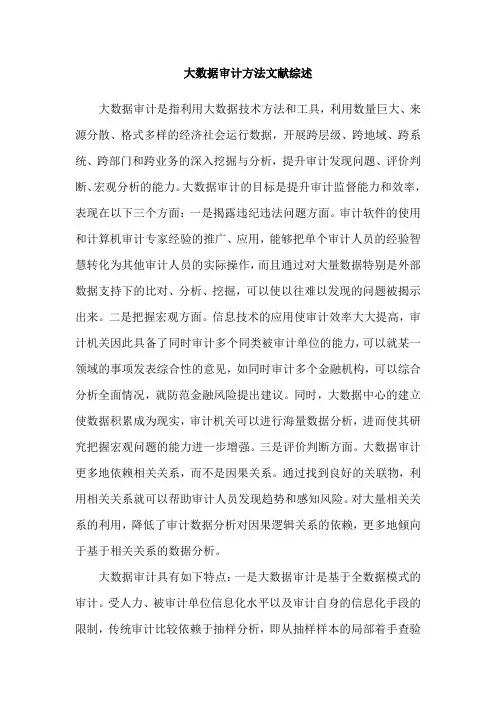 大数据审计方法文献综述