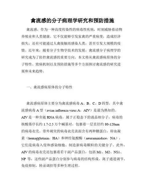 禽流感的分子病理学研究和预防措施