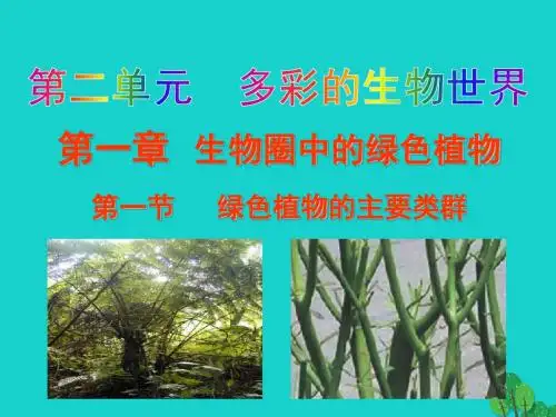 七年级生物上册2.1.1绿色植物的主要类群课件(新版)济南版