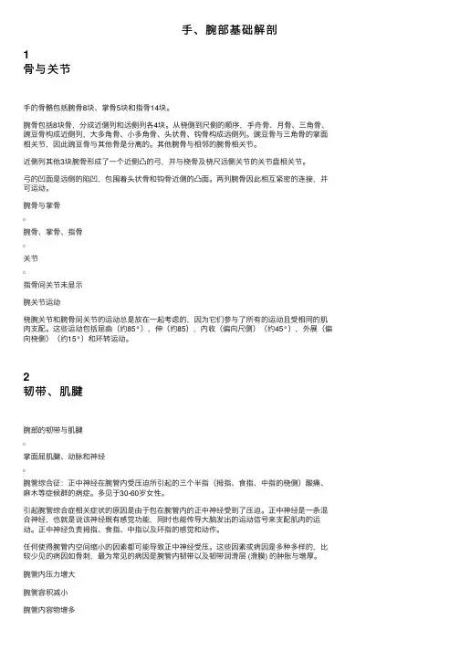 手、腕部基础解剖