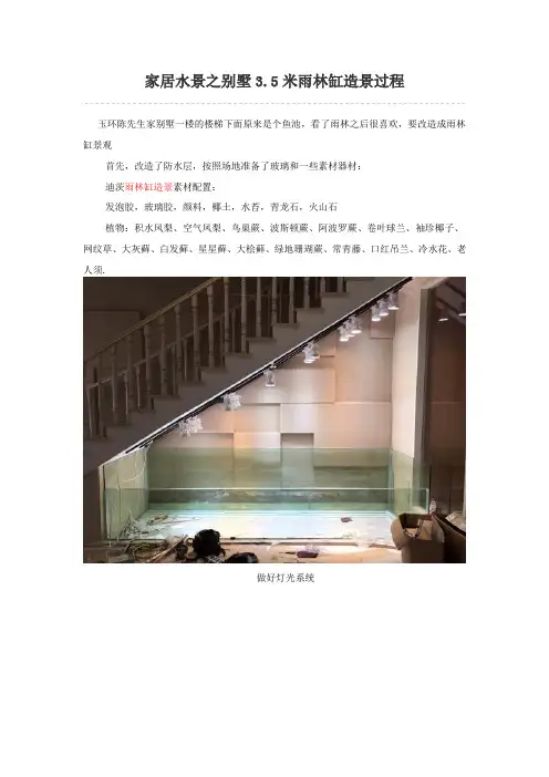 3.5米雨林缸造景过程资料