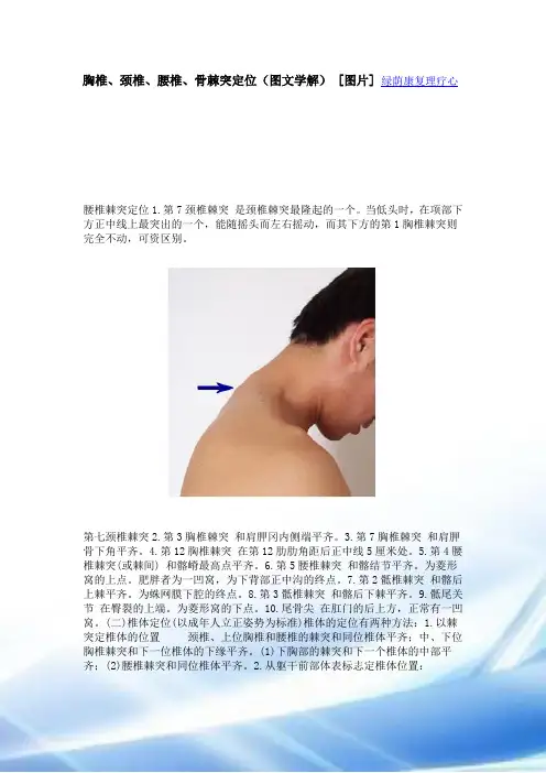 胸椎、颈椎、腰椎、骨棘突定位(图文学解)